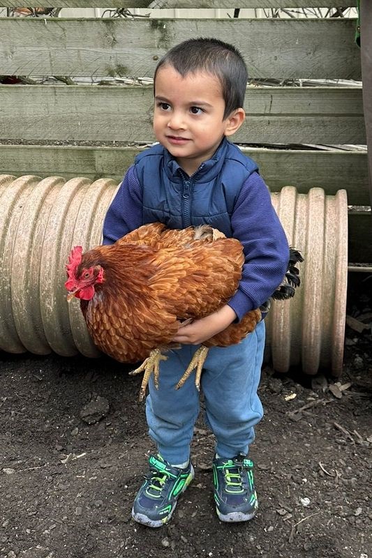 Islamic Storytime: End of 2025 Celebration