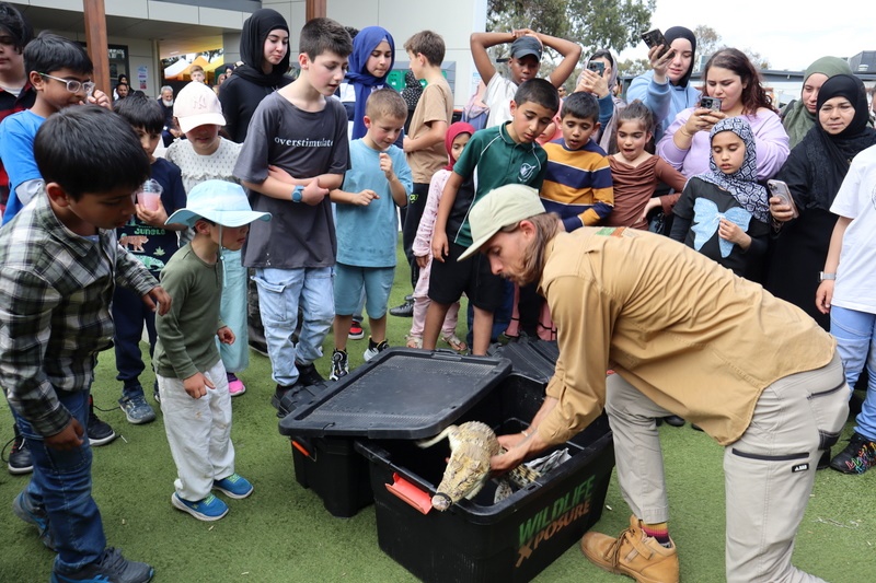 Family Fun Day – November 2025