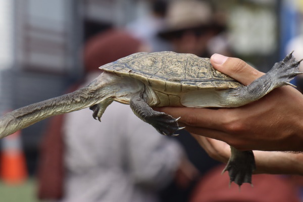 Family Fun Day – November 2025