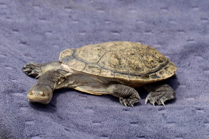 Family Fun Day – November 2025