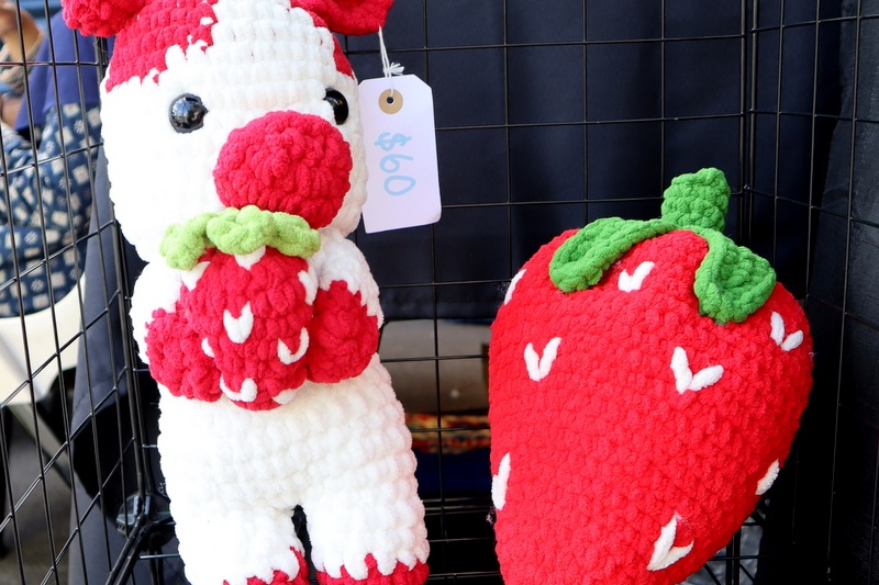 Family Fun Day – November 2025