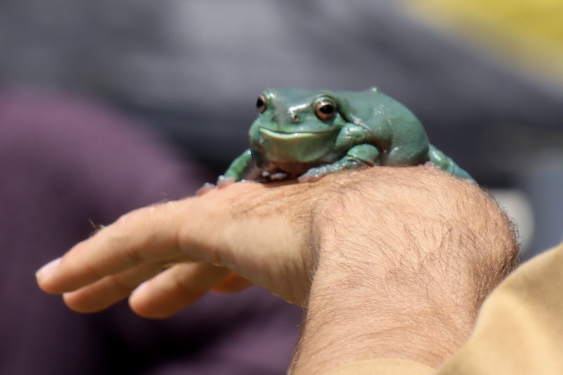 Family Fun Day – November 2025