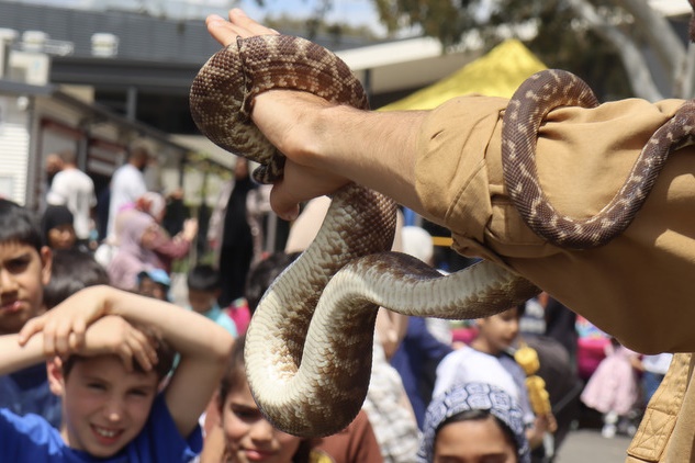 Family Fun Day – November 2025