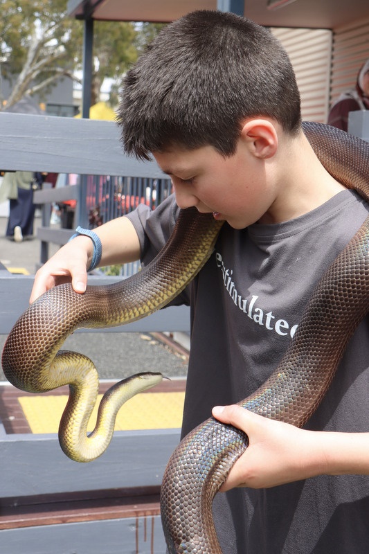 Family Fun Day – November 2025