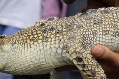 Family Fun Day – November 2025