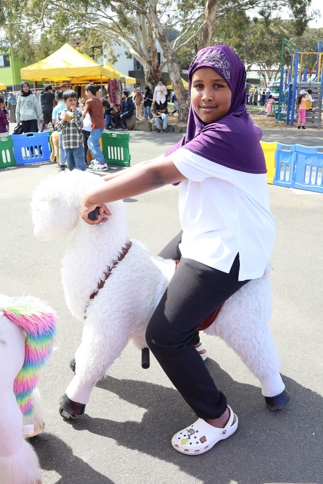 Family Fun Day – November 2025