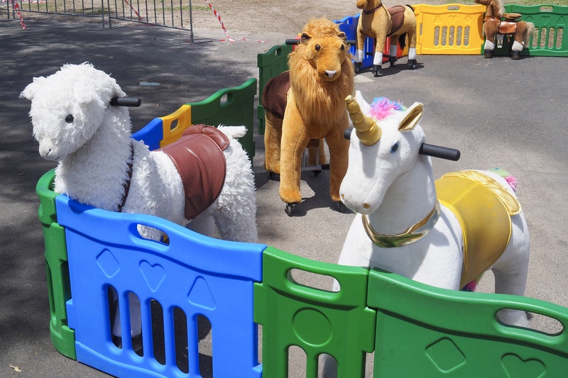 Family Fun Day – November 2025