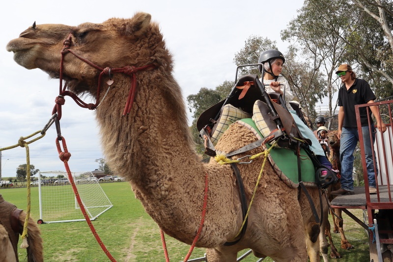 Family Fun Day – November 2025