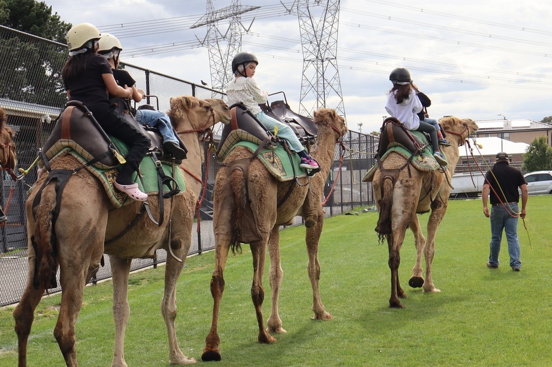 Family Fun Day – November 2025