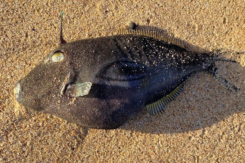 Year 6 Boys Camp 2025