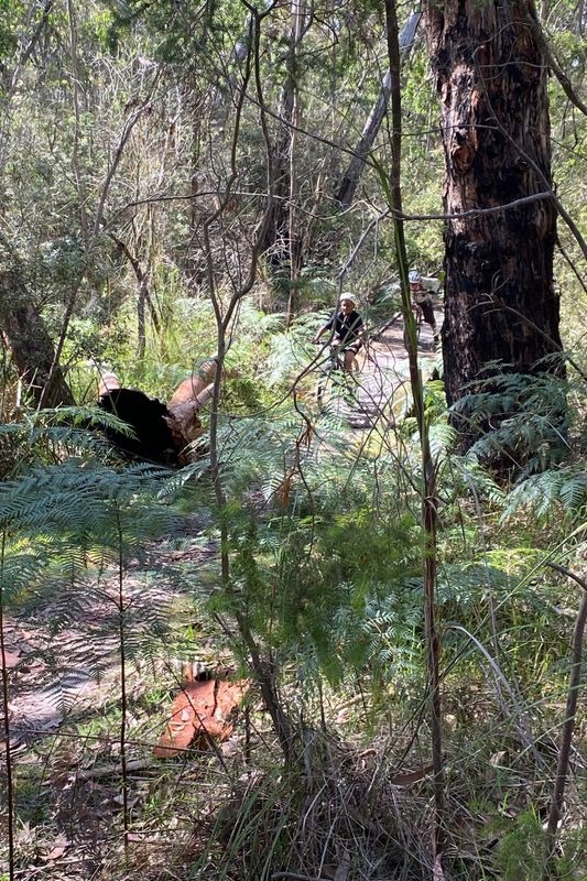 Year 6 Boys Camp 2025