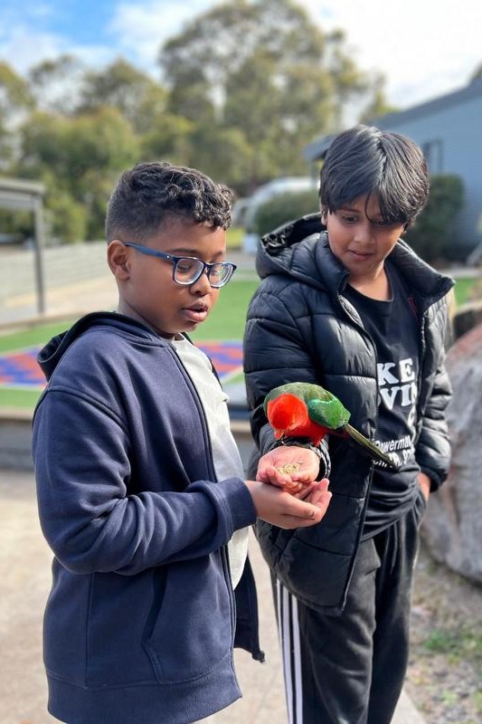 Year 6 Boys Camp 2025