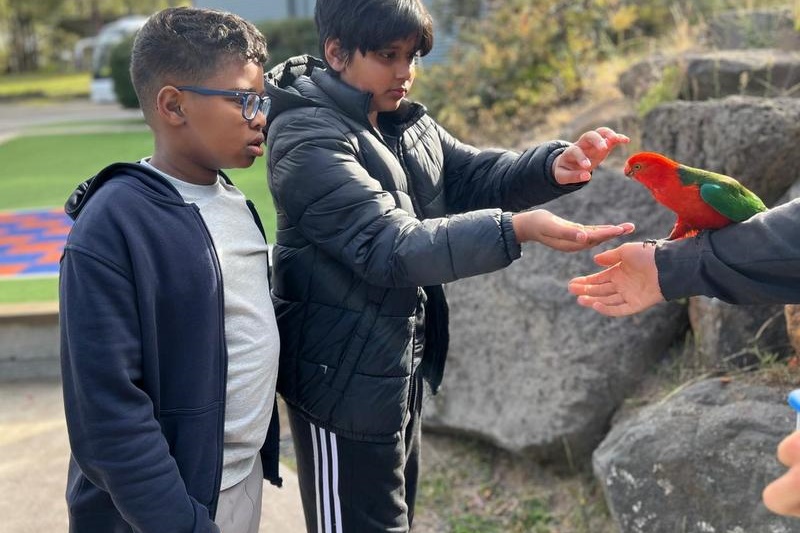 Year 6 Boys Camp 2025