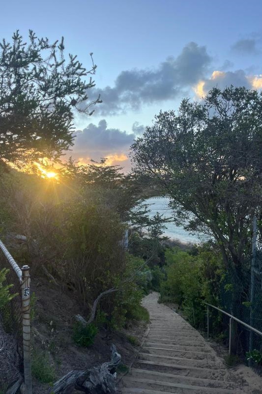 Year 5-6 Girls: Camp Portsea