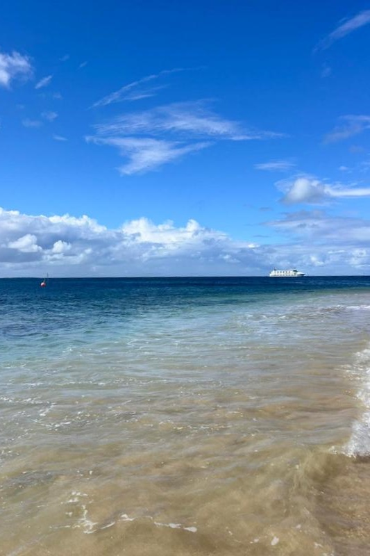 Year 5-6 Girls: Camp Portsea