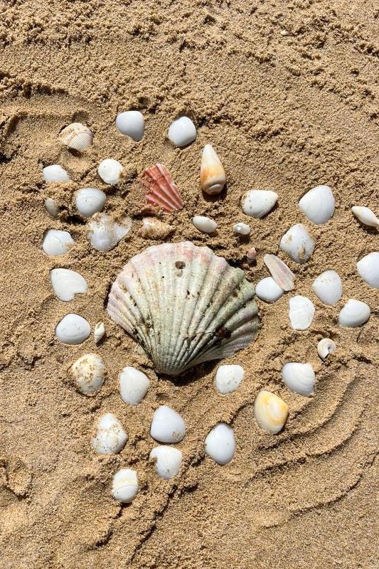 Year 5-6 Girls: Camp Portsea