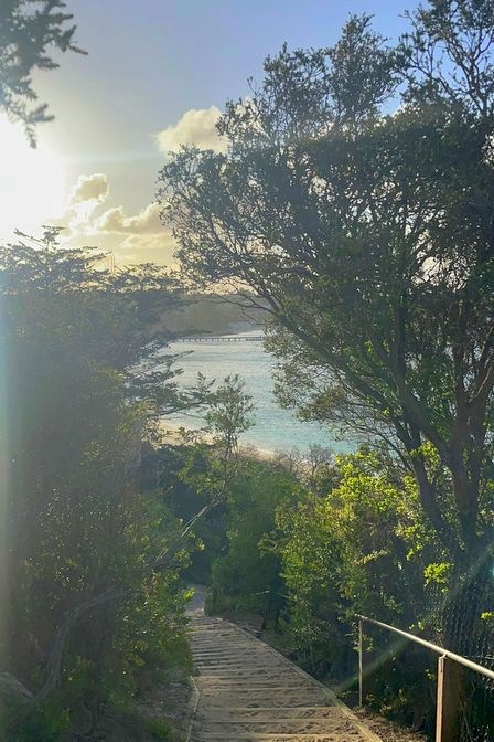 Year 5-6 Girls: Camp Portsea