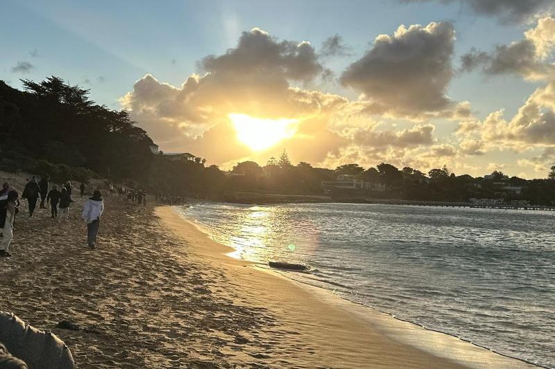 Year 5-6 Girls: Camp Portsea