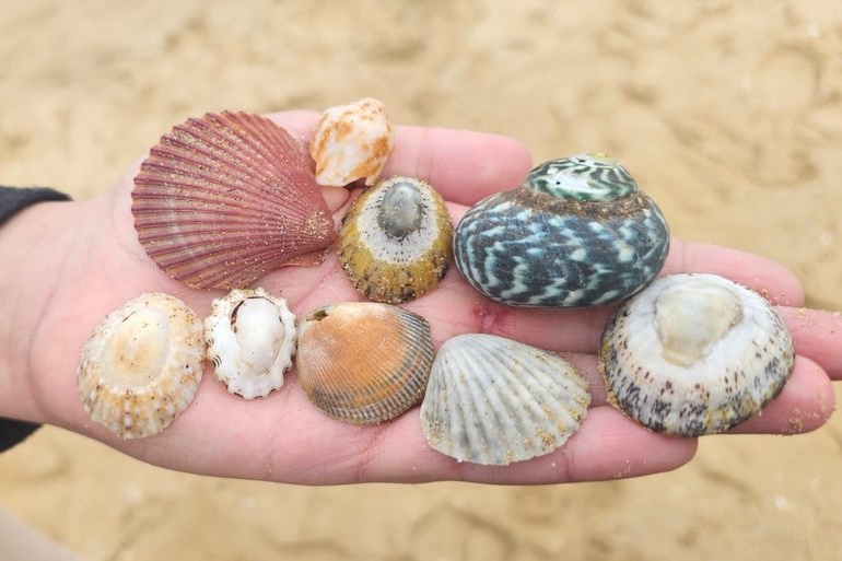 Year 5-6 Girls: Camp Portsea