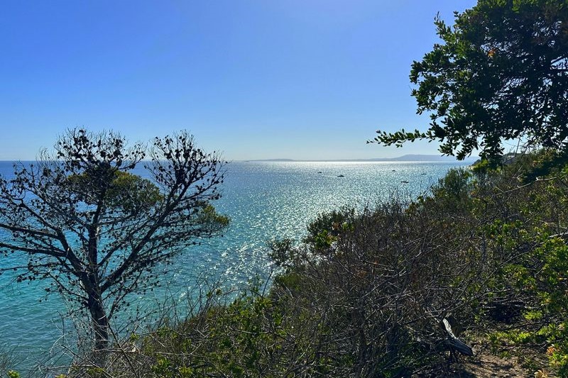 Year 5-6 Girls: Camp Portsea