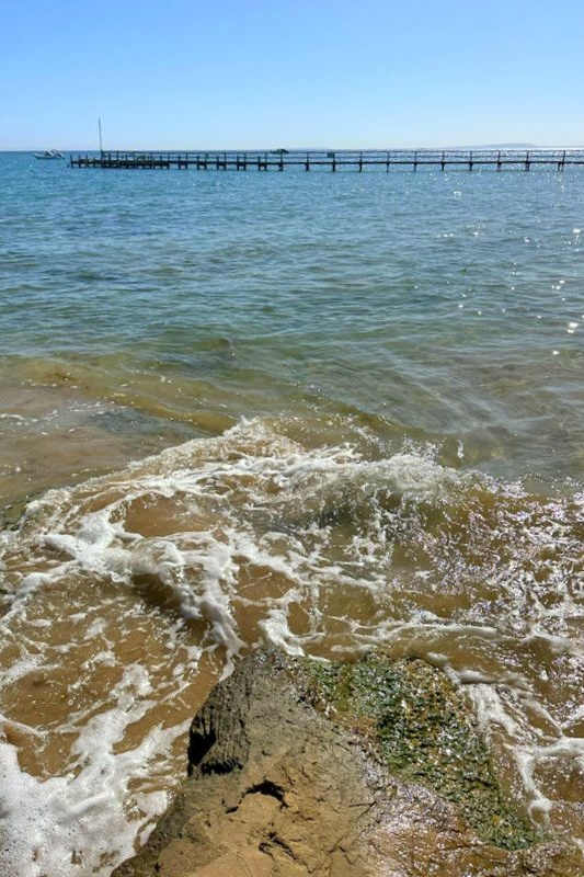 Year 5-6 Girls: Camp Portsea