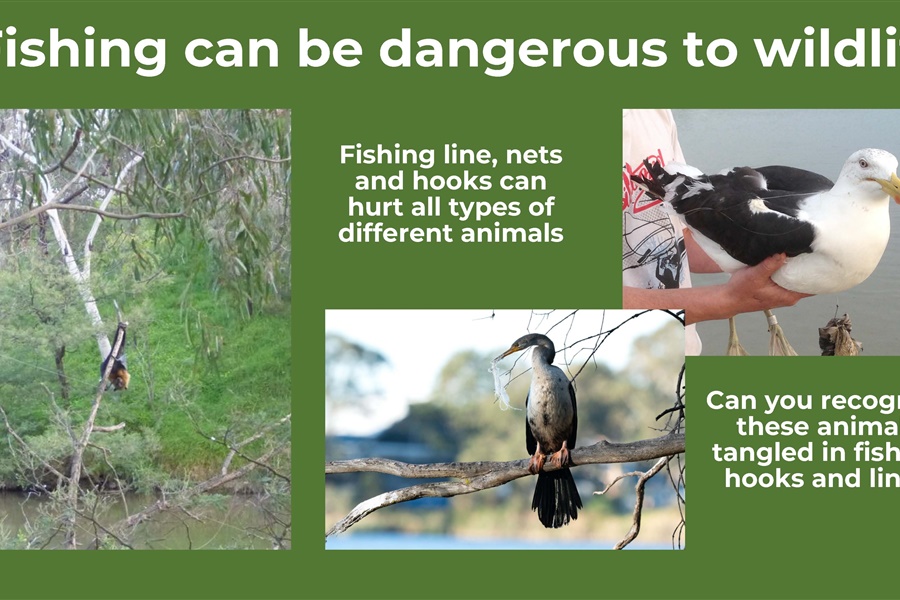 Little Anglers Kits Handed Out to Year 6 Boys