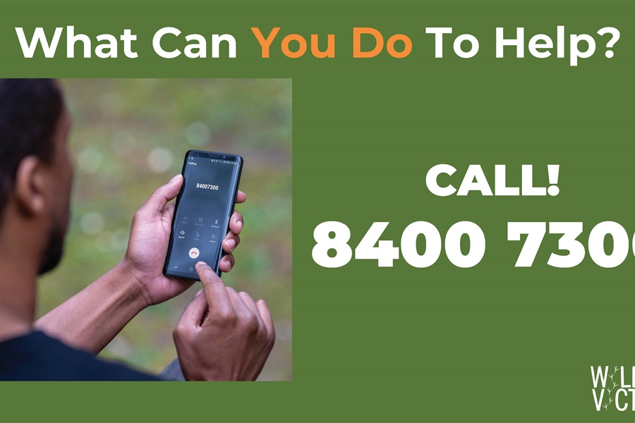 Little Anglers Kits Handed Out to Year 6 Boys