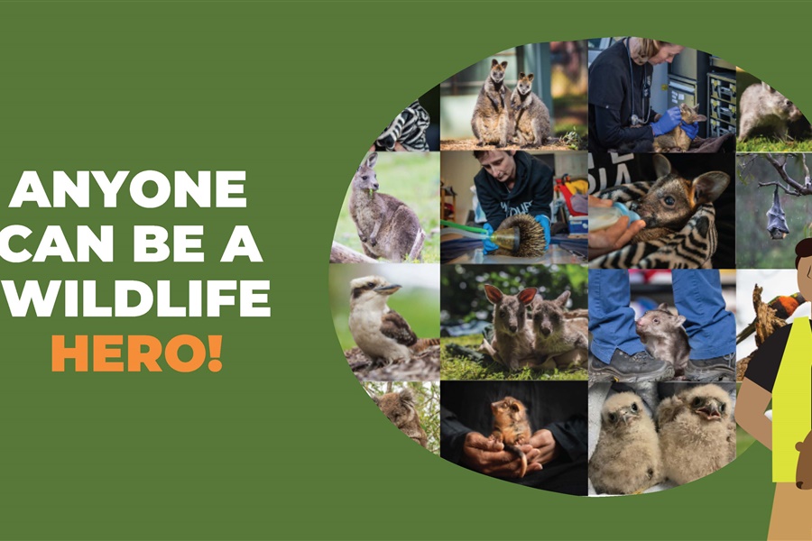 Little Anglers Kits Handed Out to Year 6 Boys