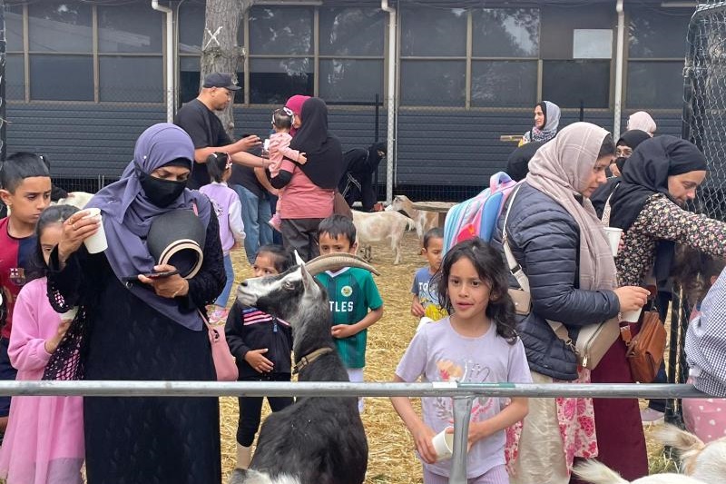 ASC Mini Farm Open Day