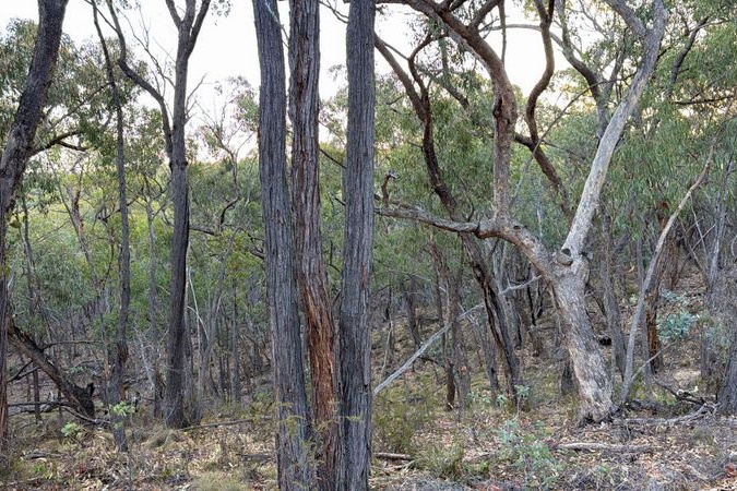 Year 7 GIRLS Camp Doxa