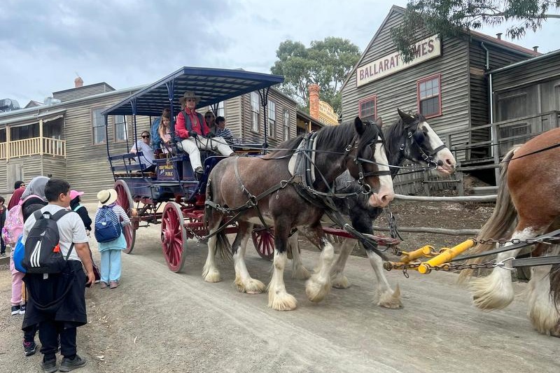 Year 4 Camp: Sovereign Hill