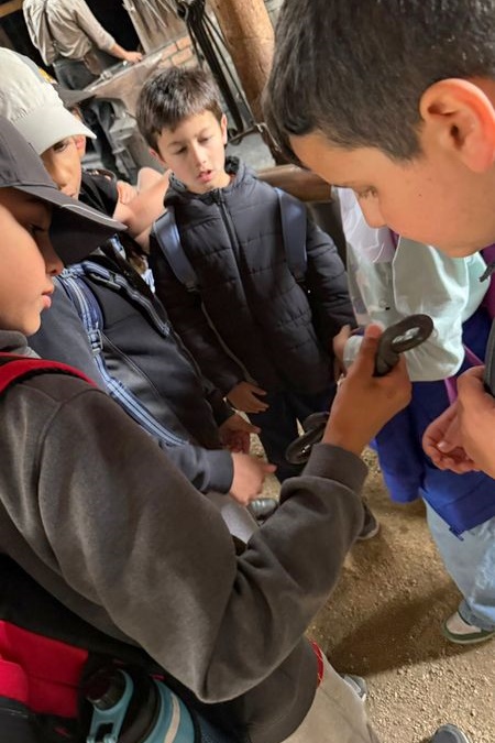 Year 4 Camp: Sovereign Hill