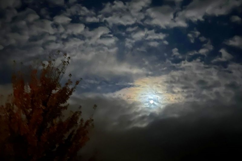 Year 4 Camp: Sovereign Hill