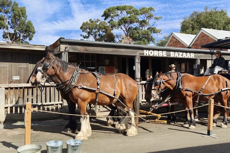 Year 4 Camp: Sovereign Hill