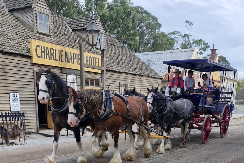 Year 4 Camp: Sovereign Hill