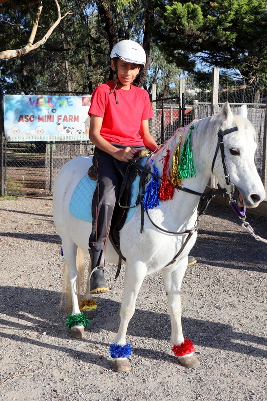Annual Primary Sports Carnival 2026