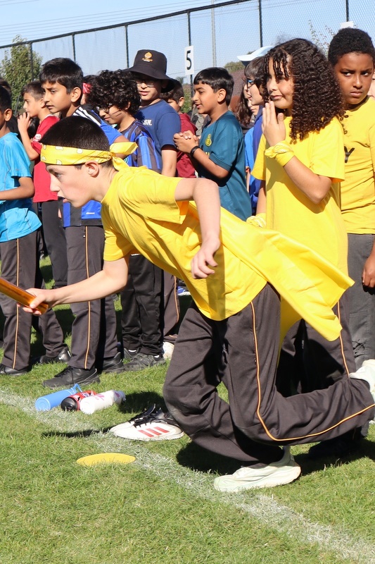 Annual Primary Sports Carnival 2026