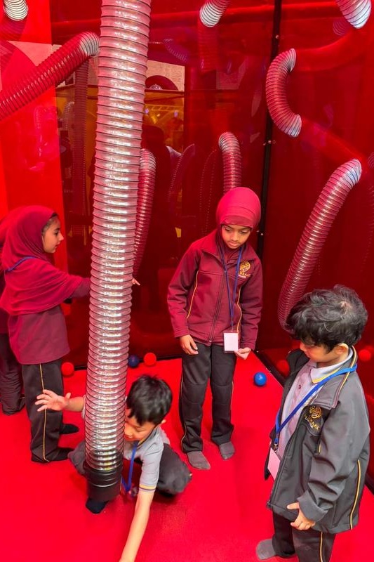 F – 2 Term 1 Dojo Awards: Museum of Play and Art