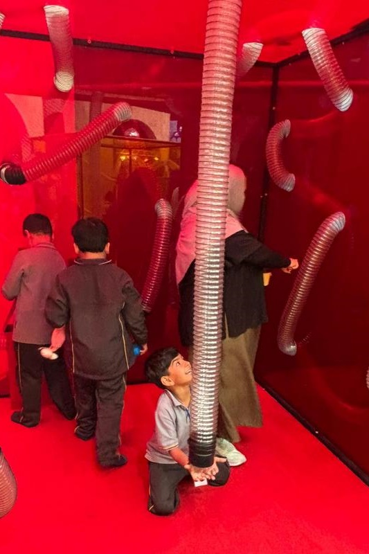 F – 2 Term 1 Dojo Awards: Museum of Play and Art