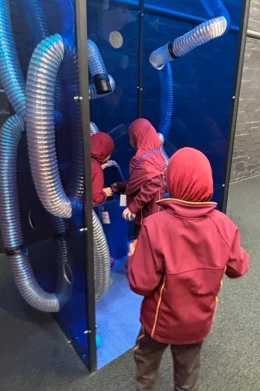 F – 2 Term 1 Dojo Awards: Museum of Play and Art