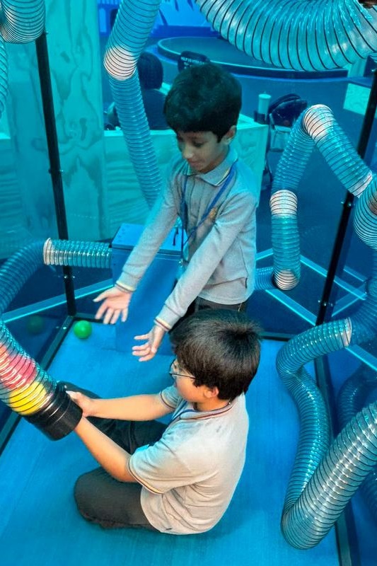 F – 2 Term 1 Dojo Awards: Museum of Play and Art