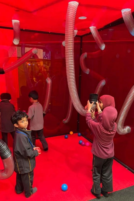 F – 2 Term 1 Dojo Awards: Museum of Play and Art