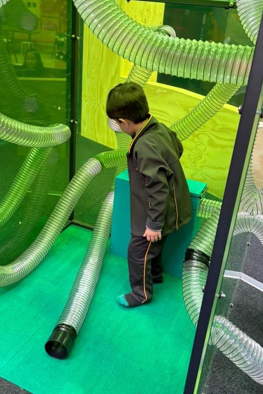 F – 2 Term 1 Dojo Awards: Museum of Play and Art