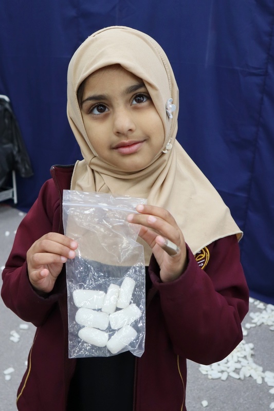 2026 Primary Hajj Simulation