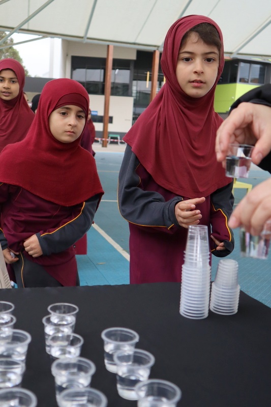 2026 Primary Hajj Simulation