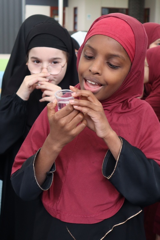 2026 Primary Hajj Simulation