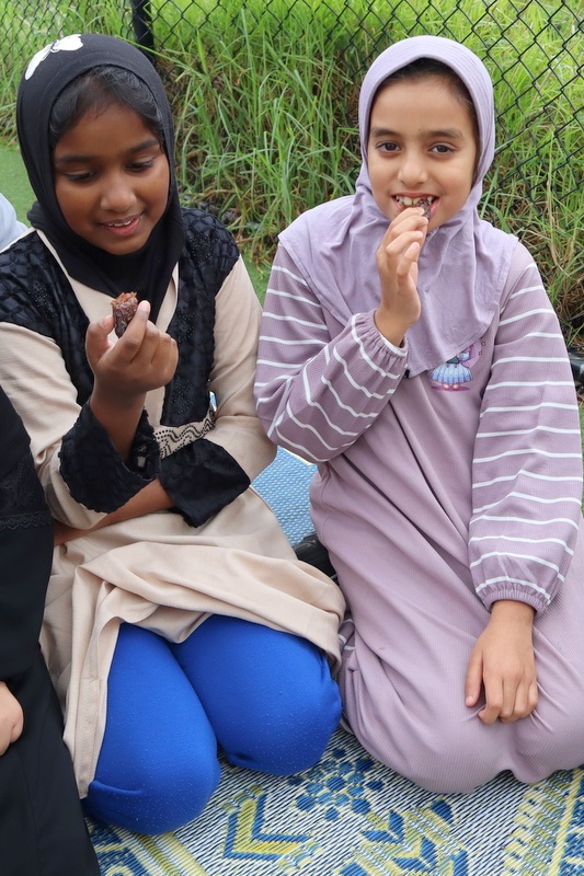 2026 Primary Hajj Simulation