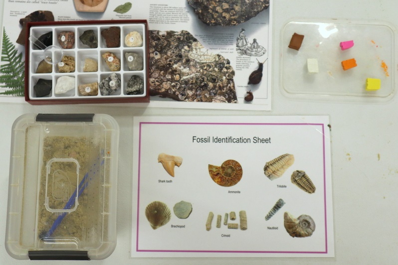 Year 5 Science Incursion: Weathering and Erosion