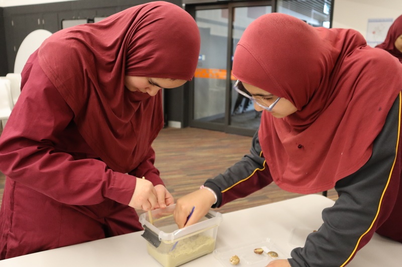 Year 5 Science Incursion: Weathering and Erosion