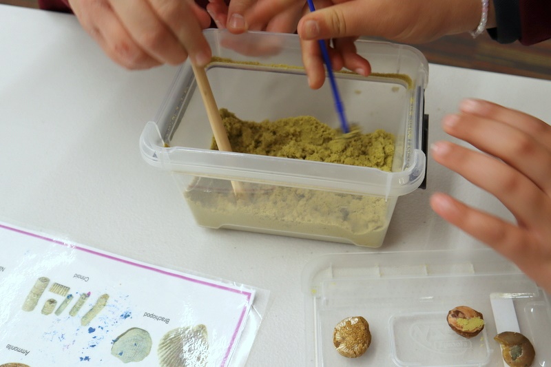 Year 5 Science Incursion: Weathering and Erosion